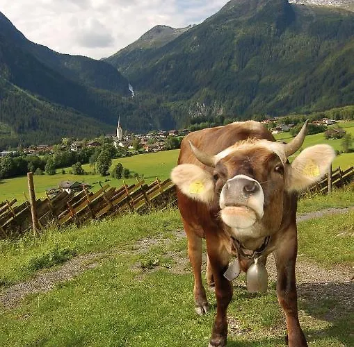 Gæstehus Sonne - Only