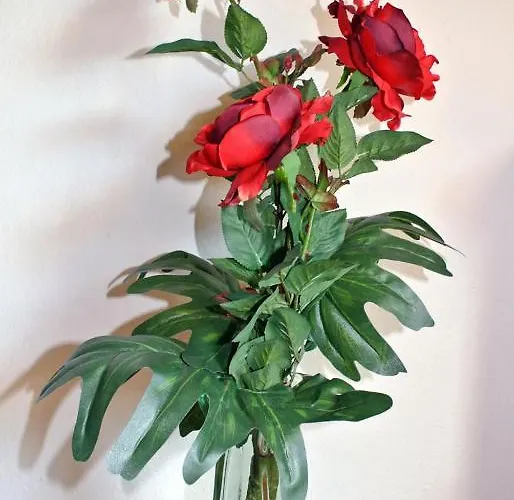 Sonne - Only Maison d'hôtes 3*